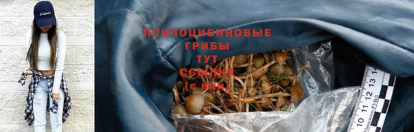 прущий лед Магас