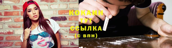стафф Майский