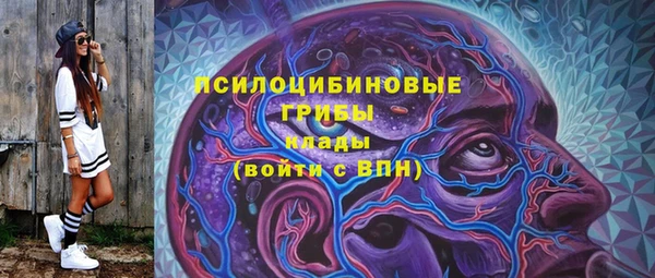 прущий лед Магас