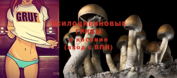 стафф Майский