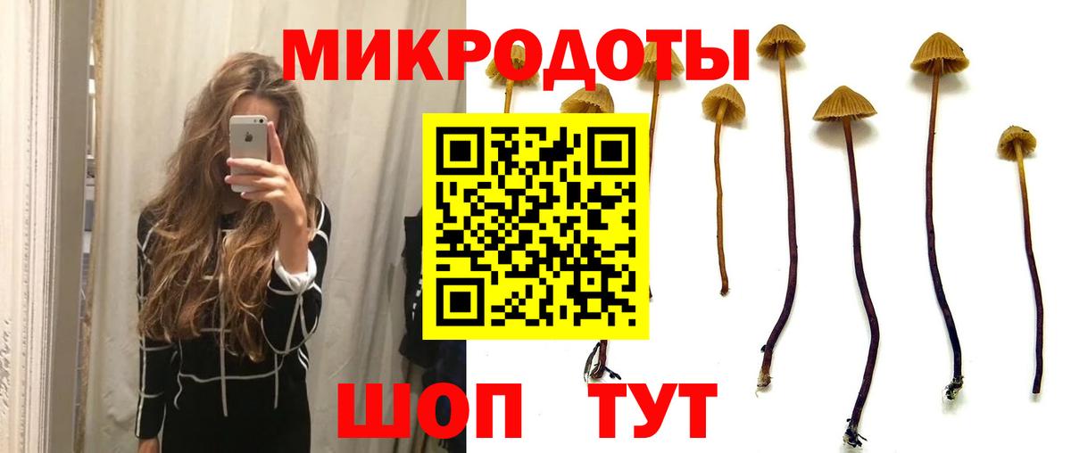Псилоцибиновые грибы мицелий Октябрьский